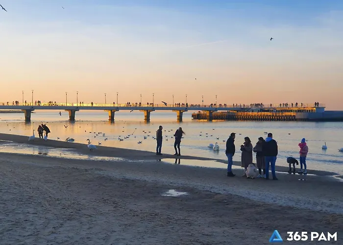 365pam - Family Mazowiecka Park - Plac Zabaw I Parking W Cenie Apartamento